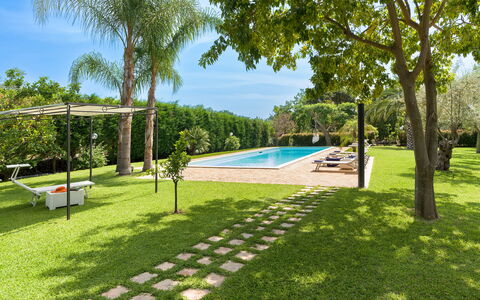 Oasi Verde - Santa Maria La Stella, Sicilia: Pianta, Acqua, Cielo, Piscina, Albero, Shade, Mobili Da Esterno, Lotto, Tempo Libero, Arecales