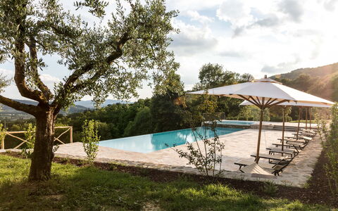 Villa Niccione: Pianta, Acqua, Cielo, Nube, Piscina, Shade, Albero, Lotto, Mobili Da Esterno, Tempo Libero