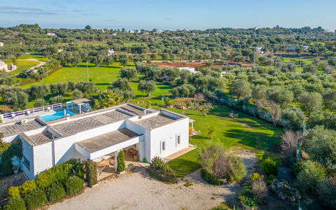 Masseriola Di Puglia: Pianta, Proprietà, Costruzione, Cielo, Paesaggio Naturale, Albero, Lotto, Urban Design, Erba, Paesaggio