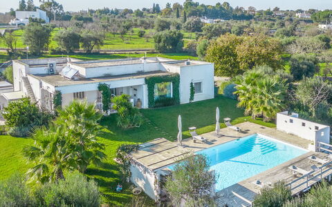 Masseriola Di Puglia: Pianta, Costruzione, Albero, Botanica, Lotto, Finestra, Urban Design, Zona Residenziale, Quartiere, Casa