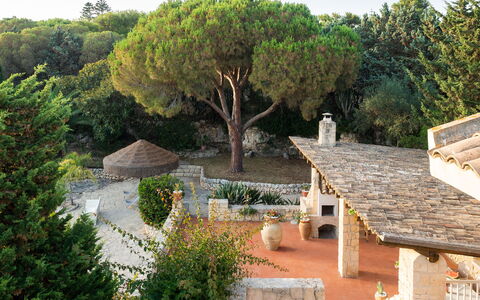 Villa Diamante - Siracusa, Sicilia: Pianta, Albero, Cielo, Villetta, Casa, Parete, Paesaggio, Immobiliare, Area Rurale, Tetto