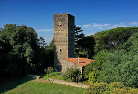 Torre Delle Cornacchie: Cielo, Pianta, Nube, Albero, Costruzione, Torre, Paesaggio Naturale, Erba, Paesaggio, Arbusto