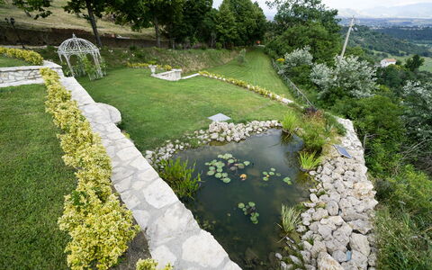 Luxury Villa Con Spa e Panorama a 40 Min Da Roma: Pianta, Comunita 'Impianto, Fiore, Botanica, Natura, Albero, Paesaggio Naturale, Vegetazione, Erba, Lotto