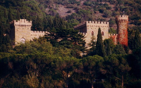 Palazzo Trasimeno: Pianta, Paesaggio Naturale, Costruzione, Albero, Vegetazione, Paesaggio, Città, Castello, Collina, Architettura Medievale
