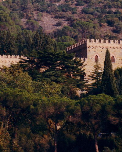 Palazzo Trasimeno: Pianta, Paesaggio Naturale, Costruzione, Albero, Vegetazione, Paesaggio, Città, Castello, Collina, Architettura Medievale