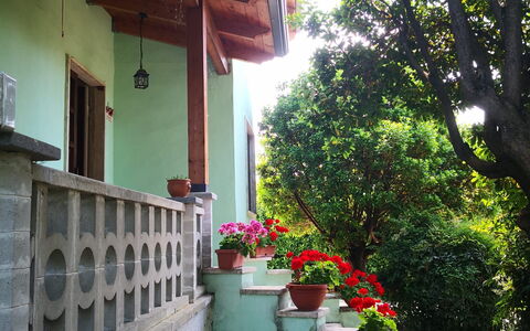 Franco House With Pool: Fiore, Pianta, Costruzione, Vaso Di Fiori, Casa, Albero, Legna, Finestra, Manto Stradale, Shade