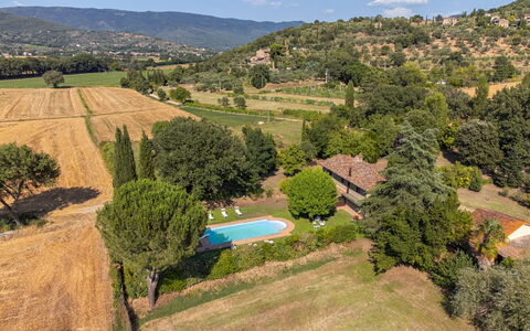 Villa Marconi: Pianta, Nube, Comunita 'Impianto, Cielo, Ecoregione, Paesaggio Naturale, Ambiente Naturale, Albero, Vegetazione, Lotto