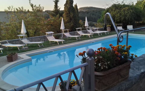 Villa Delle Palme: Acqua, Pianta, Piscina, Blu, Azzurro, Albero, Cielo, Mobili Da Esterno, Vaso Di Fiori, Fiore