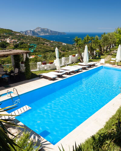 Villa Il Sole Di Sorrento: Acqua, Pianta, Cielo, Proprietà, Piscina, Azzurro, Albero, Botanica, Vegetazione, Arecales