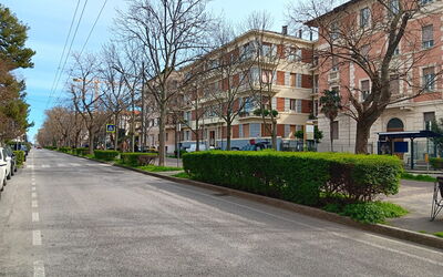 Ancona City Apartment