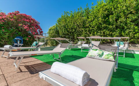 Villa La Pagliarina: Proprietà, Pianta, Cielo, Verde, Natura, Mobili Da Esterno, Shade, Urban Design, Biome, Erba