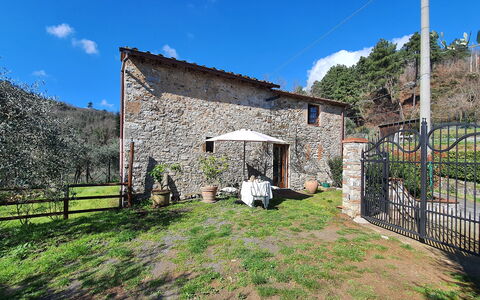 Il Cantuccio: Cielo, Nube, Pianta, Proprietà, Costruzione, Albero, Lotto, Area Rurale, Villetta, Erba