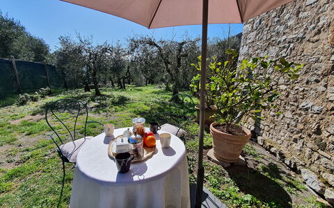 Il Cantuccio: Pianta, Proprietà, Vaso Di Fiori, Tavolo, Ombrello, Shade, Sedia, Mobili Da Esterno, Tavola, Costruzione