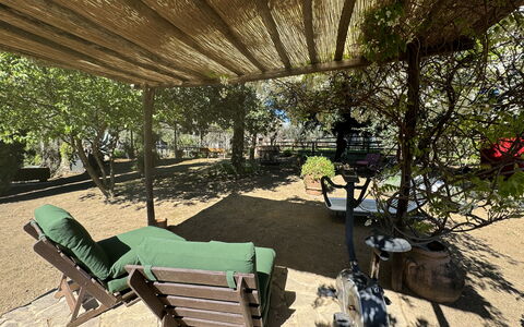 Il Cantuccio: Pianta, Natura, Panchina, Foglia, Shade, Mobili Da Esterno, Botanica, Biome, Tempo Libero, Albero