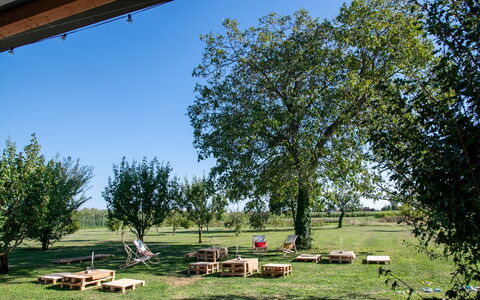 Oasi Casamaras, Brenta River, Wifi, Ac: Pianta, Cielo, Foglia, Natura, Shade, Paesaggio Naturale, Albero, Botanica, Vegetazione, Lotto