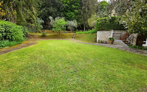 La Piccola Rocca: Pianta, Proprietà, Verde, Albero, Paesaggio Naturale, Lotto, Erba, Vegetazione, Arbusto, Paesaggio