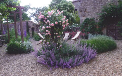 Casa Di Pietro In Vivo D'orcia, Pool: Fiore, Arbusto, Giardino, Rosa, Groundcover, Viola, Pianta Fiorita, Landscaping, Cortile, Backyard