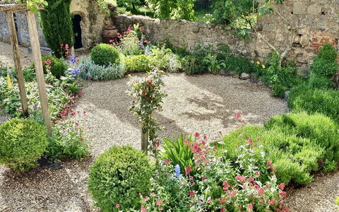 Casa Di Pietro In Vivo D'orcia, Pool: Fiore, Giardino, Arbusto, Comunita 'Impianto, Groundcover, Primavera, Backyard, Landscaping, Cortile