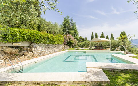 Villa Montegattoli, Pool, Landscape, Wifi, Ac: Pianta, Acqua, Cielo, Nube, Piscina, Albero, Shade, Erba, Paesaggio Naturale, Tempo Libero