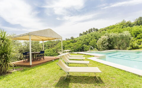 Villa Montegattoli, Pool, Landscape, Wifi, Ac: Pianta, Nube, Cielo, Mobili Da Esterno, Shade, Paesaggio Naturale, Erba, Piscina, Tempo Libero, Paesaggio