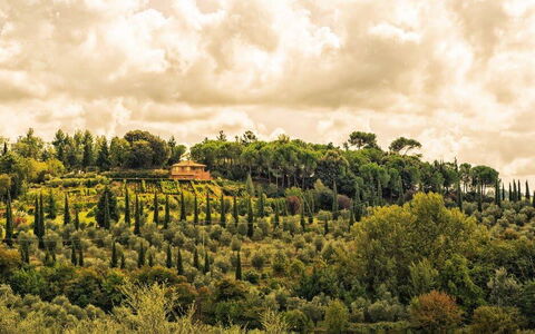 Leccino: Nube, Pianta, Cielo, Paesaggio Naturale, Lotto, Cumulo, Albero, Paesaggio, Erba, Plain
