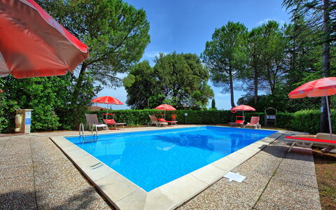 Leccino: Acqua, Pianta, Costruzione, Piscina, Shade, Albero, Mobili Da Esterno, Cielo, Ombrello, Casa