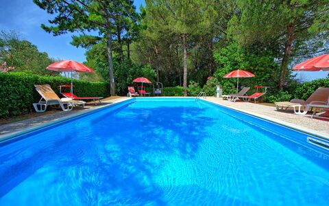 Leccino: Acqua, Pianta, Mobilia, Piscina, Albero, Sedia, Costruzione, Shade, Mobili Da Esterno