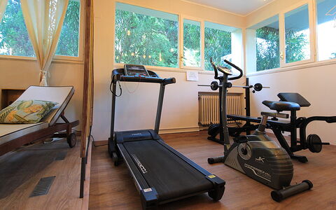 Dal Molin Apartment, Garda Lake, Ac, Fitness, Jacu: Proprietà, Macchina Per Allenamento, Finestra, Legna, Interior Design, Pavimento, Pavimentazione, Latifoglie, Apparecchiatura Esercitazione