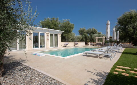 Terra Mater: Piscina, Zona Residenziale, Materiale Composito, Estate, Mobili Da Esterno, Shade, Villa, Ricorrere, Landscaping, Hacienda