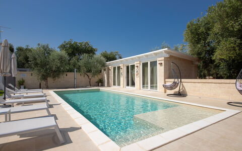 Terra Mater: Piscina, Materiale Composito, Estate, Ricorrere, Mobili Da Esterno, Giochi D'Acqua, Piastrella, Shade, Calcestruzzo, Design