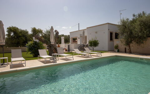 Terra Mater: Piscina, Estate, Ricorrere, Hacienda, Shade, Landscaping, Backyard, Cortile, Villa, Cortile