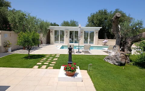Terra Mater: Zona Residenziale, Giardino, Estate, Landscaping, Cortile, Calcestruzzo, Hacienda, Prato, Cortile, Shade