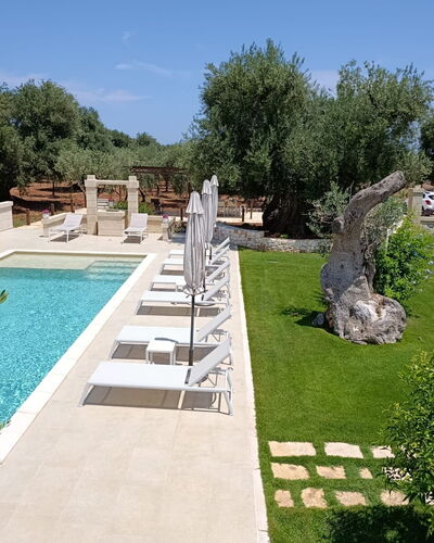 Terra Mater: Piscina, Mobili Da Esterno, Ricorrere, Giardino, Flagstone, Estate, Landscaping, Backyard, Hacienda, Shade