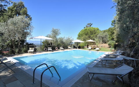 Villa Sette Ponti Levante: Pianta, Cielo, Proprietà, Acqua, Piscina, Tavolo, Azzurro, Shade, Mobili Da Esterno, Albero