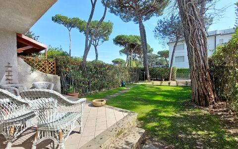 Dimora Del Capitano: Pianta, Cielo, Proprietà, Costruzione, Albero, Shade, Arecales, Urban Design, Quartiere, Woody Impianto