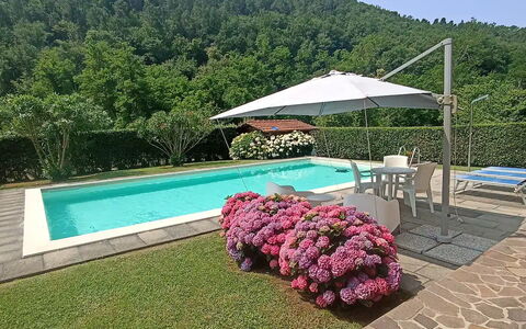 Villa Carducci: Cielo, Pianta, Acqua, Proprietà, Piscina, Ombrello, Fiore, Mobili Da Esterno, Shade, Albero