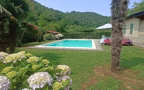 Villa Carducci: Pianta, Acqua, Fiore, Cielo, Botanica, Verde, Azzurro, Albero, Paesaggio Naturale, Piscina