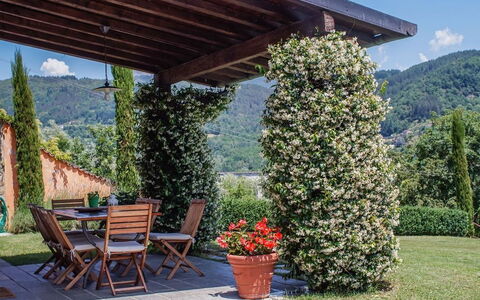 Villa Gelsomino: Pianta, Cielo, Proprietà, Vaso Di Fiori, Foglia, Botanica, Albero, Fiore, Shade, Montagna