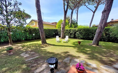 Casa La Pineta: Pianta, Proprietà, Cielo, Vaso Di Fiori, Botanica, Albero, Costruzione, Nube, Erba, Arecales