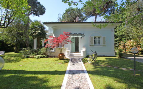 Villa Le Macchie: Pianta, Cielo, Proprietà, Costruzione, Finestra, Albero, Porta, Casa, Lotto, Erba