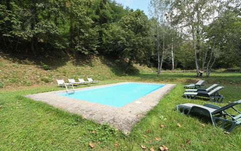 Villa Del Mulino: Pianta, Shade, Lotto, Cielo, Erba, Groundcover, Piscina, Tempo Libero, Mobili Da Esterno, Albero