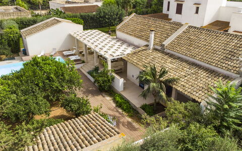 Villa Terrenove: Costruzione, Pianta, Finestra, Botanica, Lotto, Urban Design, Vegetazione, Albero, Biome, Tetto