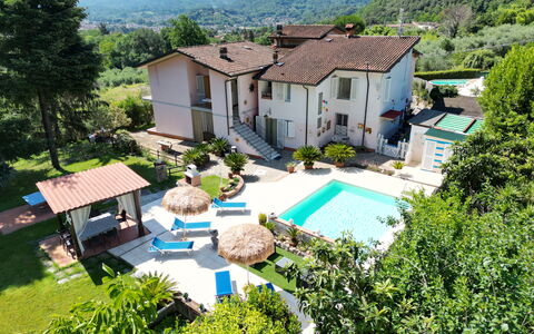 Casa Luigi: Pianta, Costruzione, Proprietà, Finestra, Albero, Casa, Villetta, Lotto, Urban Design, Quartiere