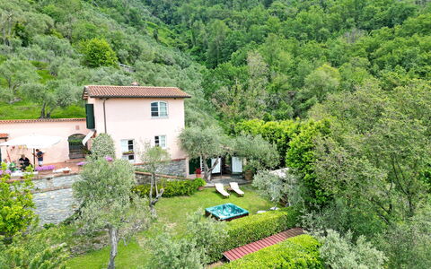 Villetta Verde: Pianta, Comunita 'Impianto, Albero, Paesaggio Naturale, Costruzione, Casa, Vegetazione, Finestra, Lotto, Villetta