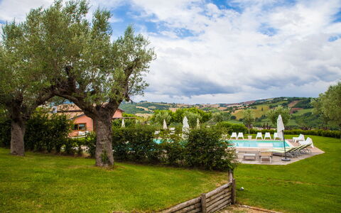 Villa Angelica: Nube, Cielo, Pianta, Natura, Paesaggio Naturale, Albero, Vegetazione, Lotto, Erba, Paesaggio