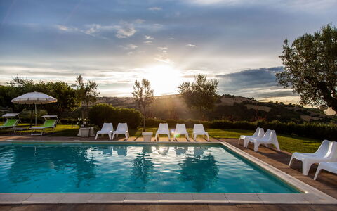 Villa Angelica: Acqua, Nube, Pianta, Cielo, Piscina, Natura, Azzurro, Albero, Mobili Da Esterno, Shade