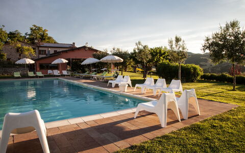 Villa Angelica: Acqua, Pianta, Nube, Cielo, Piscina, Mobili Da Esterno, Albero, Lettino, Sedia, Shade