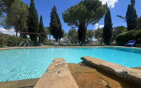 Maremma Retreat: Acqua, Cielo, Nube, Piscina, Albero, Azzurro, Pianta, Rettangolo, Shade, Paesaggio Naturale