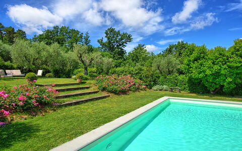 Villa Mami: Pianta, Acqua, Cielo, Nube, Proprietà, Verde, Paesaggio Naturale, Albero, Fiore, Erba