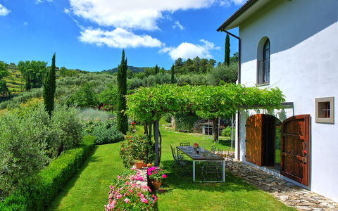Villa Mami: Pianta, Nube, Fiore, Cielo, Verde, Finestra, Paesaggio Naturale, Costruzione, Lotto, Vegetazione